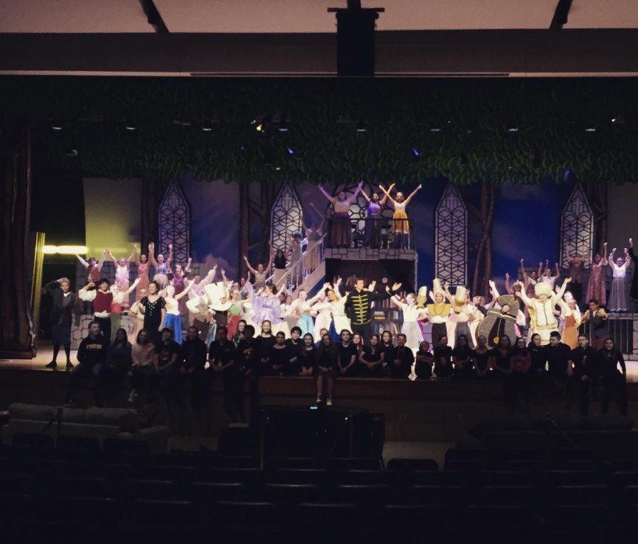 Middle School Musical: Beauty and the Beast