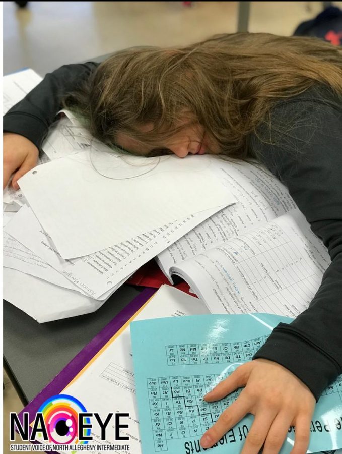 Sophmore Abby Glass catches up on a few Zs during study hall