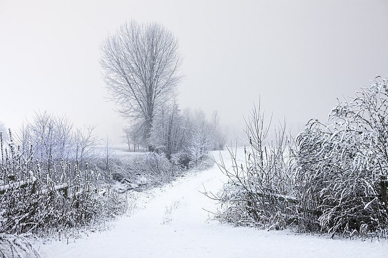 These snowy sights may soon be filled with schoolwork 