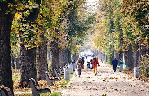 People taking walks and enjoying nature