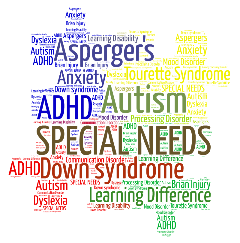 What Is A Special Educational Needs Statement