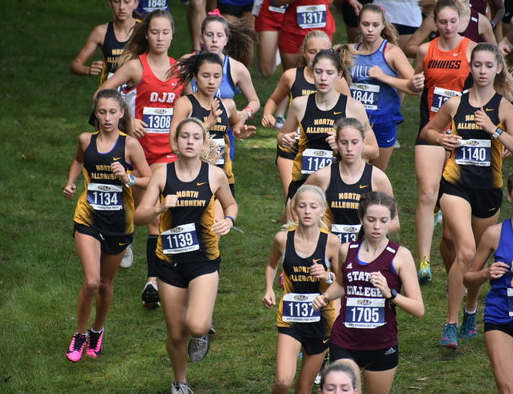 Runners from the North Allegheny Cross Country Team compete in a meet with other schools.