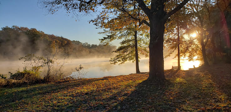 The signature lake during an early autumn morning at North Park.