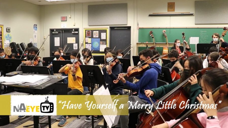 NAI Chamber Orchestra Performs Have Yourself a Merry Little Christmas