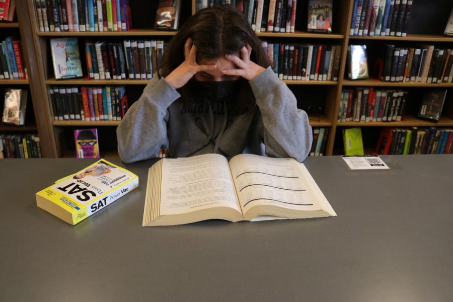 Sophomore Claire Fiedler studies for the SAT in the NAI Library.