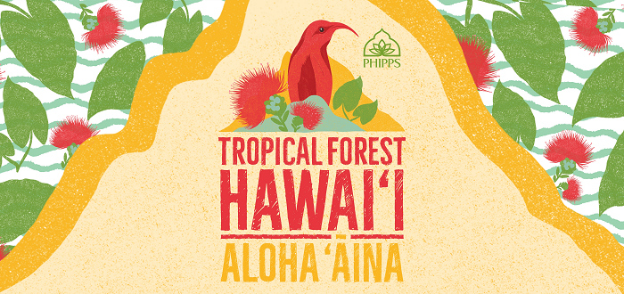 Aloha Tropical Forest Hawaii!