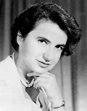 Rosalind Franklin's contributions to science are widely unknown.